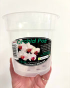 Orchid Pot Clear 12cm