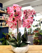 Faux Pink Orchid