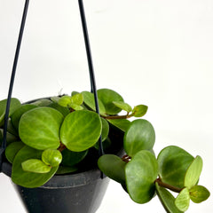 Collection image for: New In