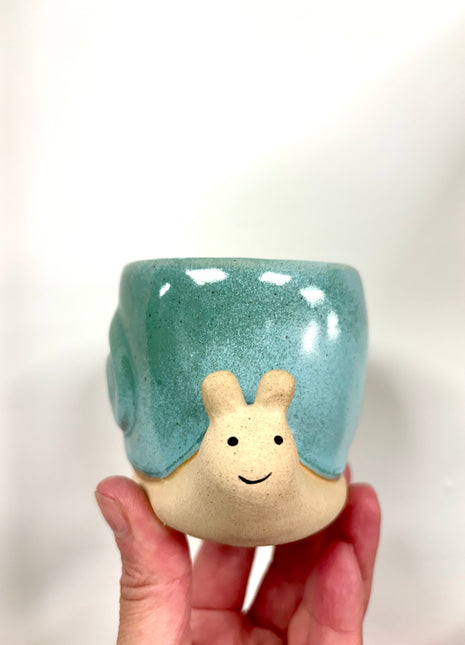 Snail plant pot