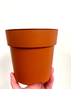 Nursery re-potting pot 14cm
