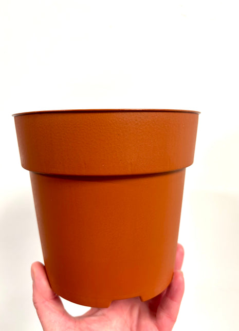 Nursery re-potting pot 14cm