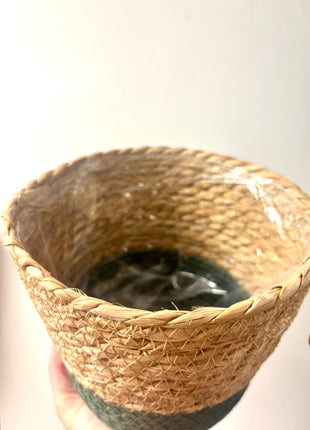 Basket/pot natural green 17cm