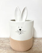 Ceramic rabbit pot
