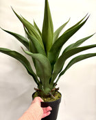 Faux Yucca