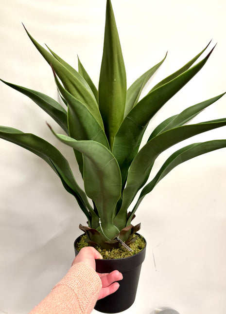 Faux Yucca