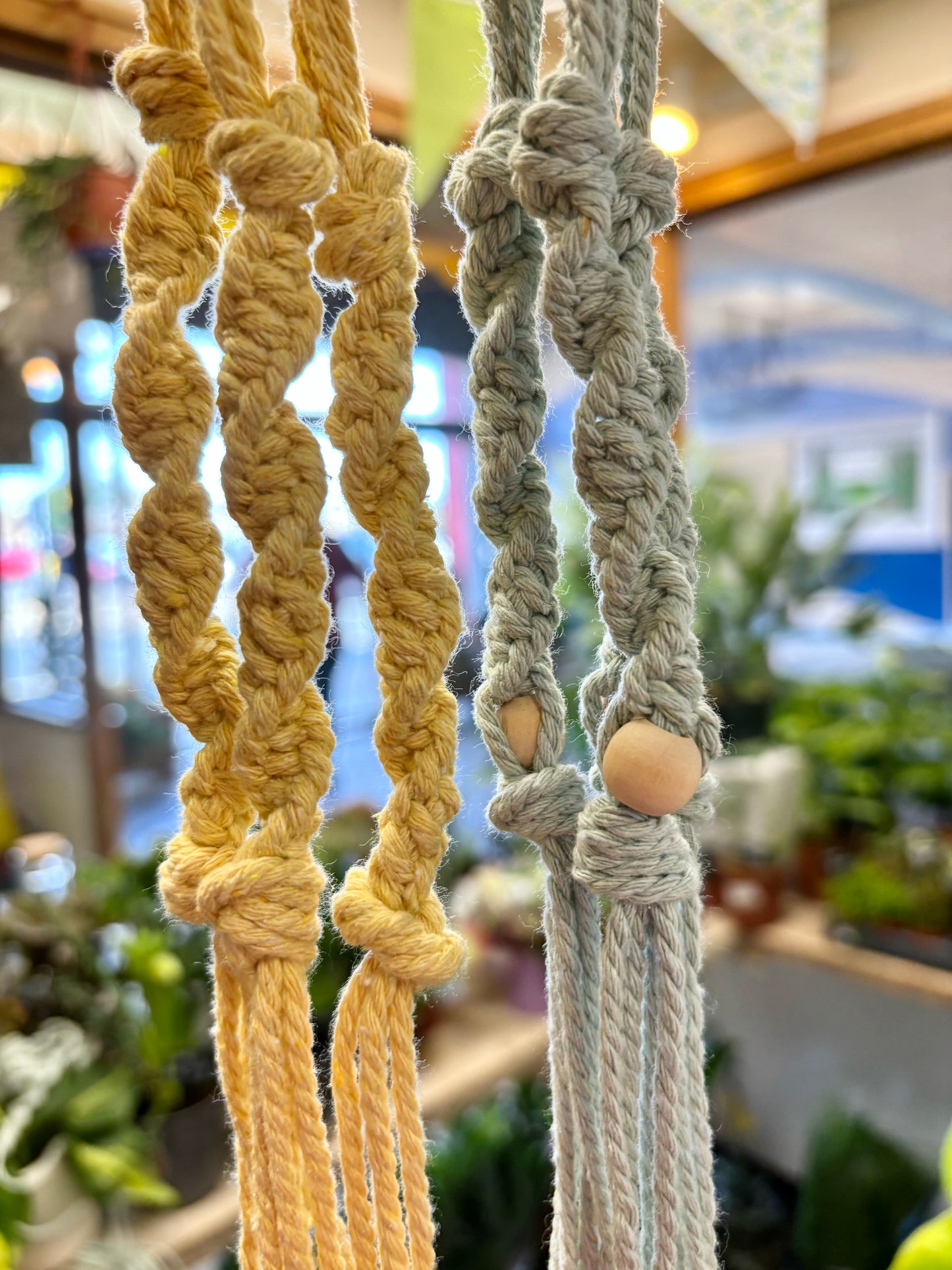 Macrame Plant Hangers