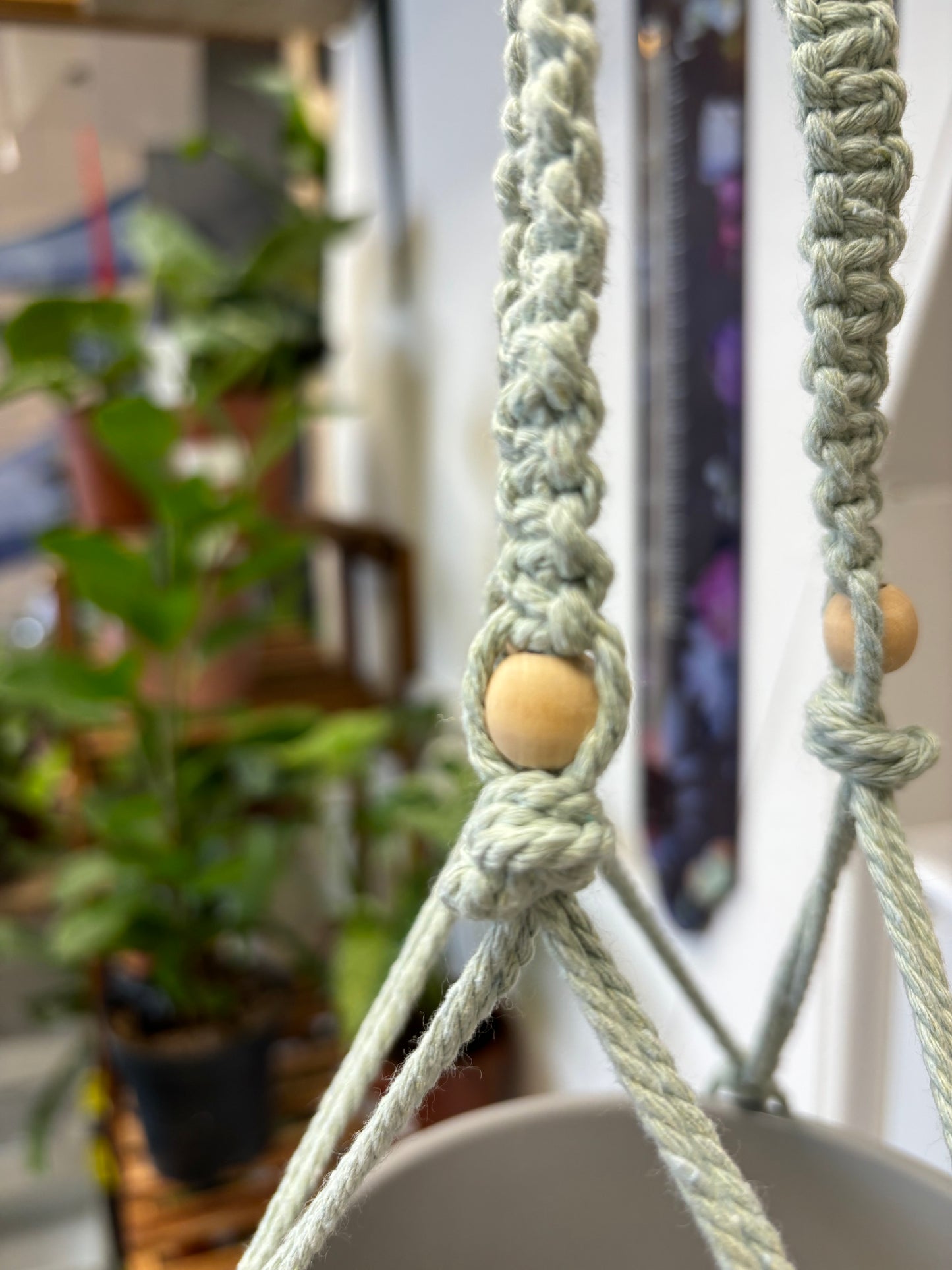 Macrame Plant Hangers