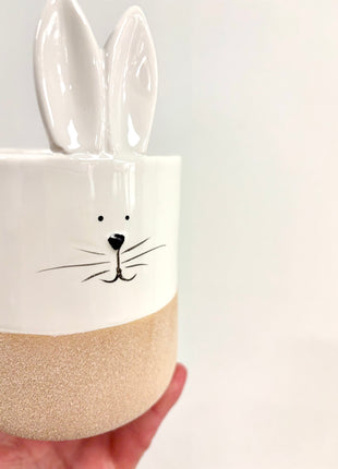 Ceramic rabbit pot