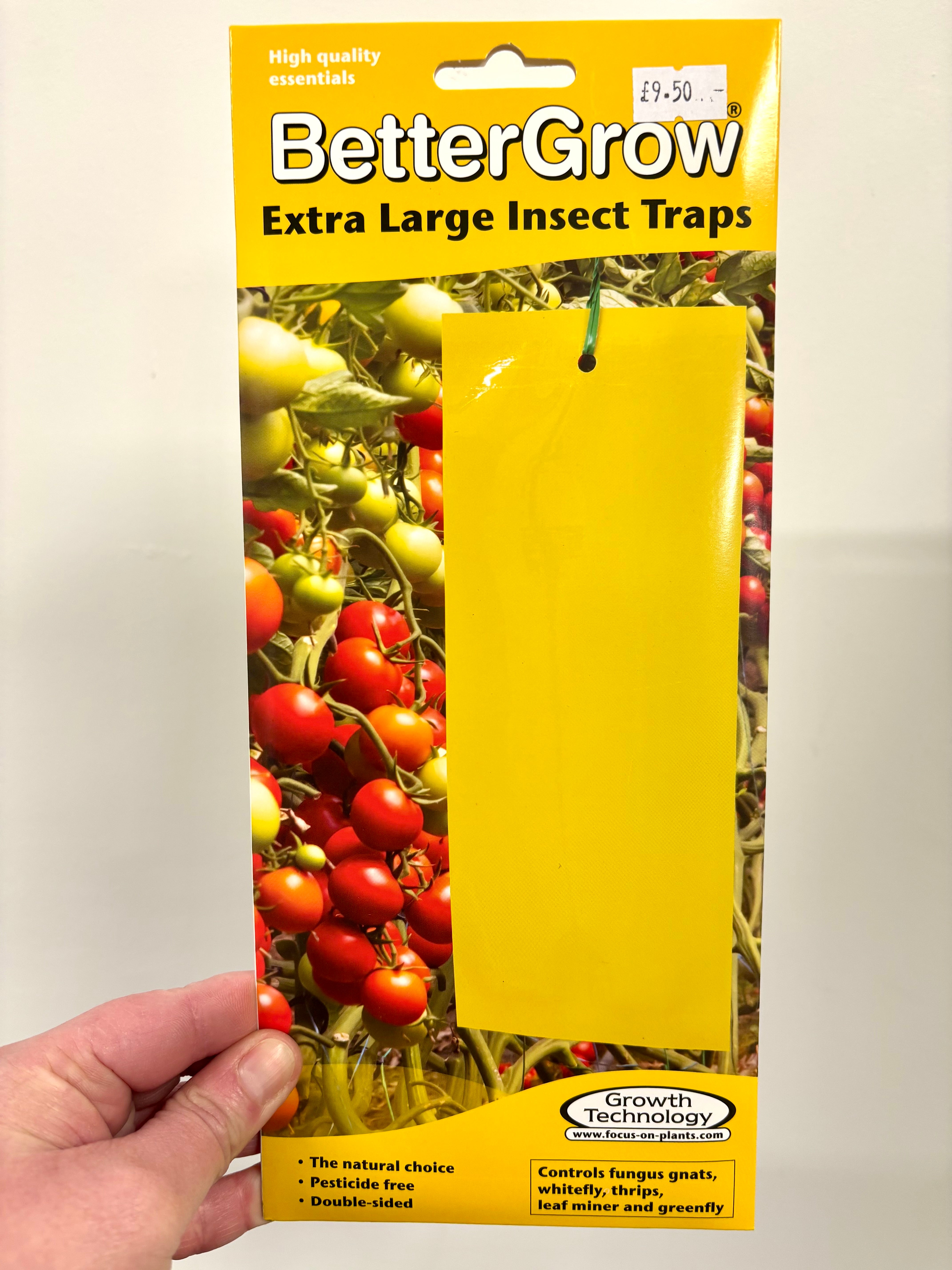 Large Insect Traps Insect traps X-Large – House Plants by Laura