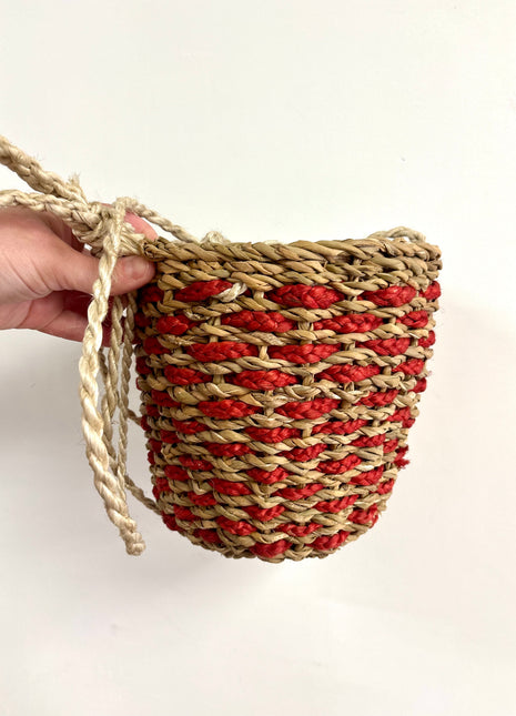 Orange hanging basket
