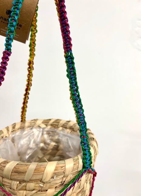 Hanging basket rainbow