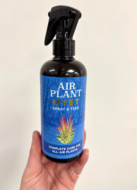 Air plant myst - 300ml