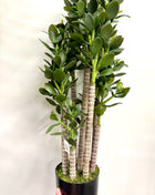 Faux Jade
