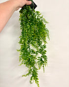 Faux trailing fern like stems