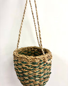 Green hanging basket