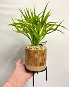 Faux grass with decorative planter