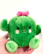 Palm pal Prickles Cactus