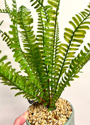 Faux fern with stand
