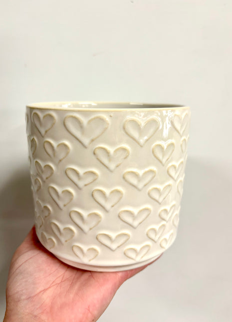 White heart plant pot medium