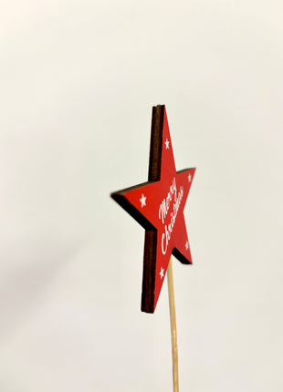 Christmas Star