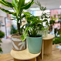 Collection image for: SALE