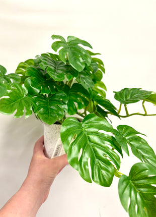 Faux monstera