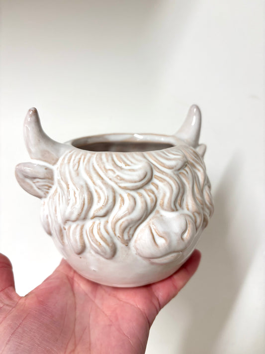 Highland Cow Planter