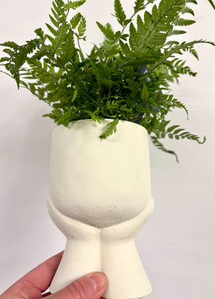 Daydream pot
