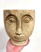 Rustic face planter