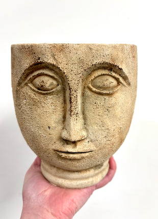 Rustic face planter