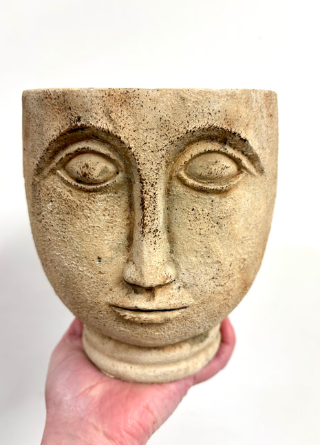 Rustic face planter