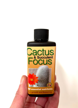 Cactus & Succulent Focus Food