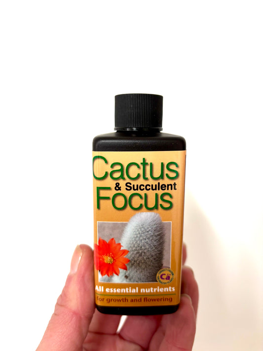 Cactus & Succulent Focus Food