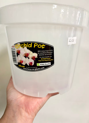 Orchid pot Clear 19cm