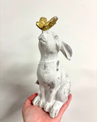 Rabbit with butterfly