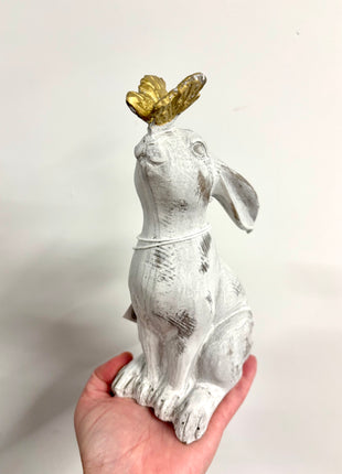 Rabbit with butterfly