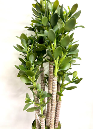 Faux Jade