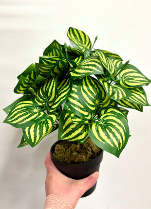Faux watermelon plant