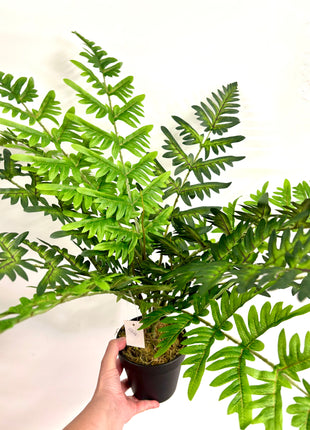 Faux Fern plant