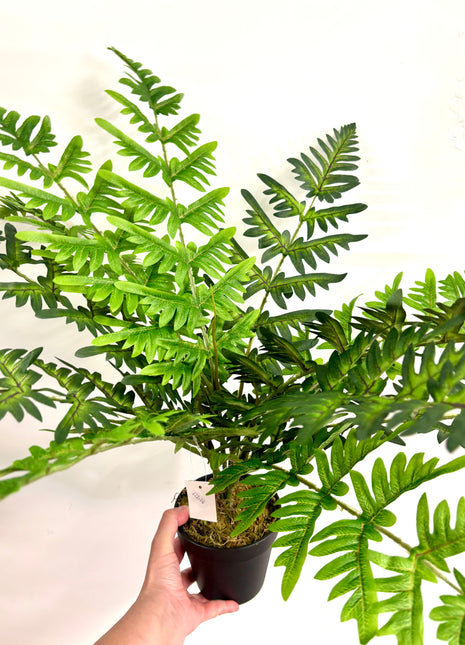 Faux Fern plant