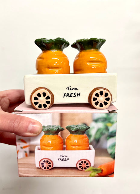 Carrot salt and pepper shakers