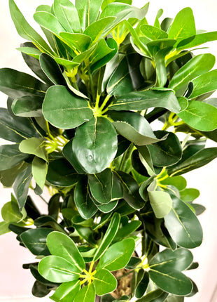 Faux Schefflera