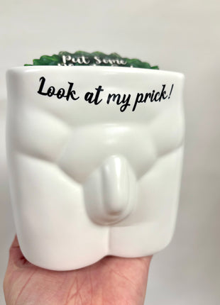 The wetter the better plant pot