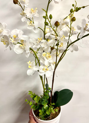 Faux orchid display potted