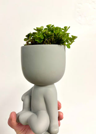 Sitting pots