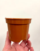 Nursery re-potting pot 8cm