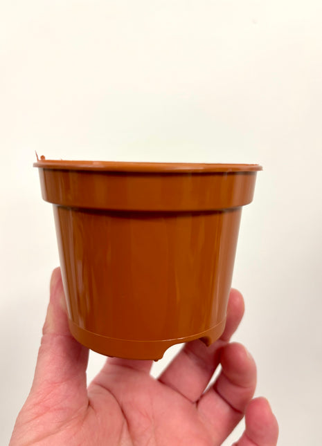Nursery re-potting pot 8cm