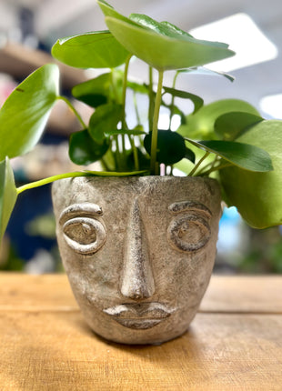 Face pot