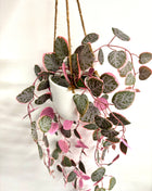 Faux variegated hearts